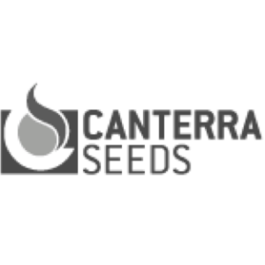 Canterra | Canola Seed | Dawson Creek