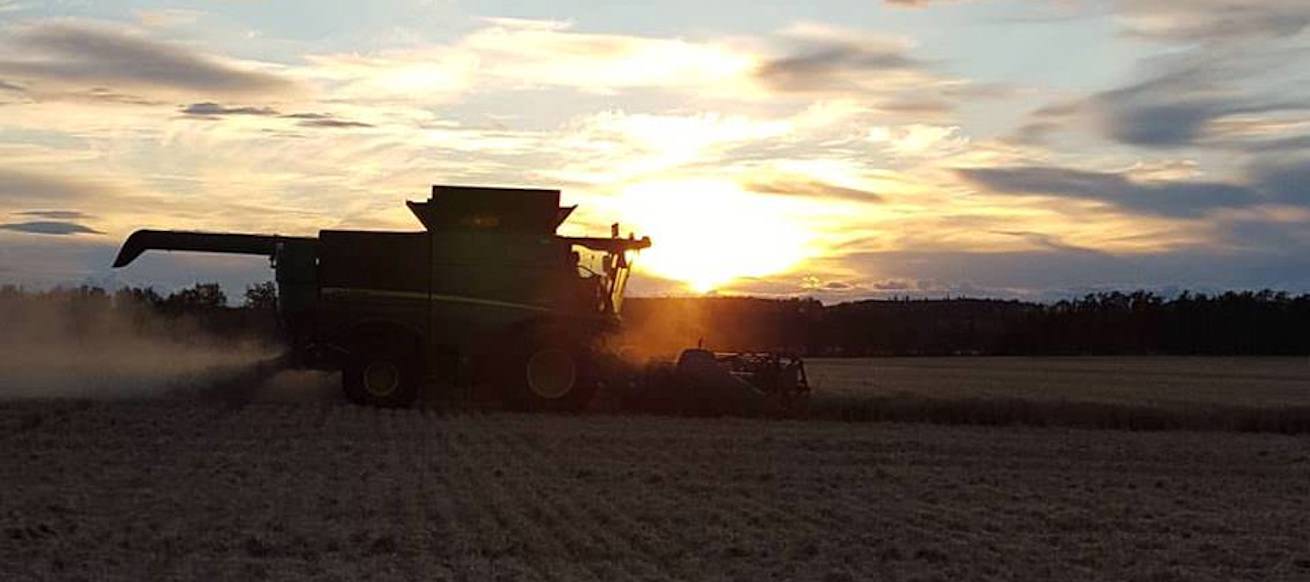 Combine | Sunset | Dawson Creek