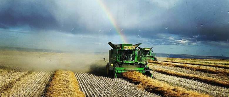 Combining | Rainbow | Agro Source