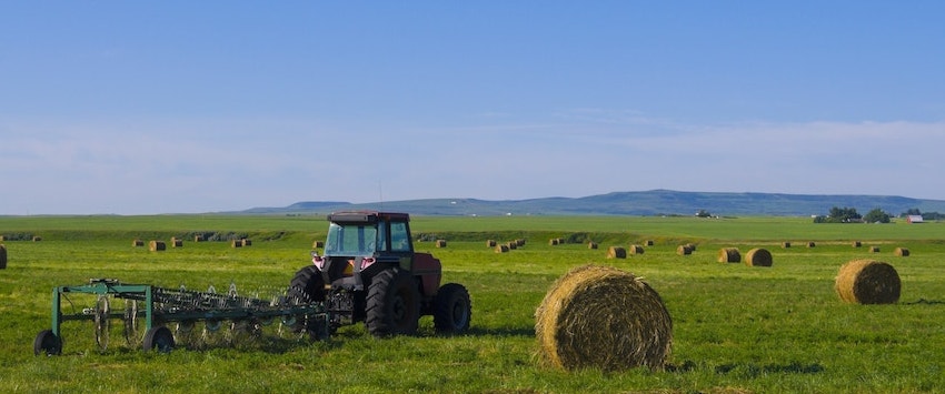 BAGGED FORAGE AND GRASS SEED | Dawson Creek