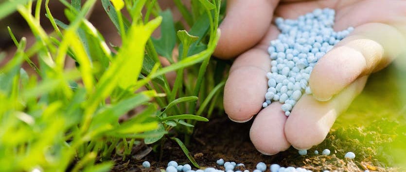 Bulk fertilizer deals