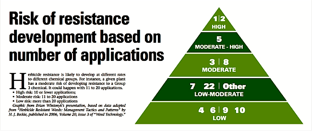 risk resistance | workshop | Dawson Creek