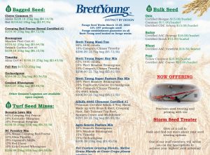 Screenshot Brochure